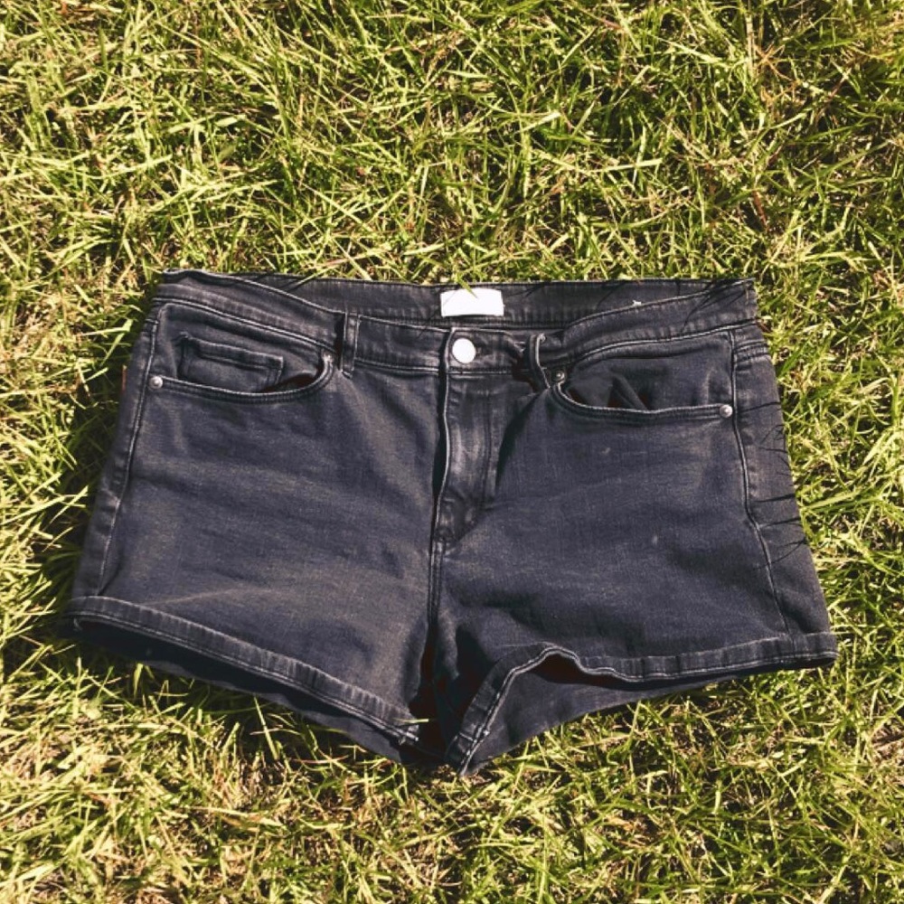 LOFT outlet Shorts